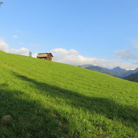 Pension Muehlbachhof Alpbach Extérieur photo