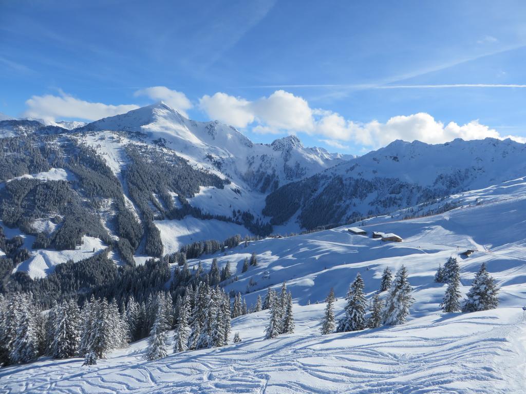 Pension Muehlbachhof Alpbach Extérieur photo