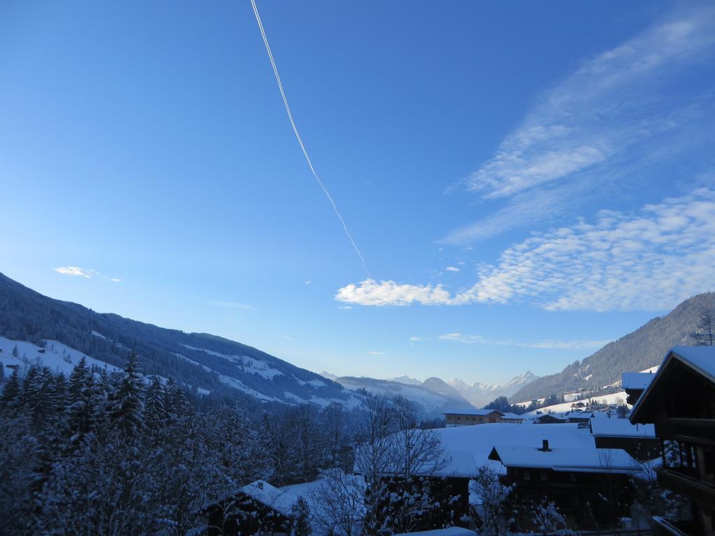 Pension Muehlbachhof Alpbach Extérieur photo