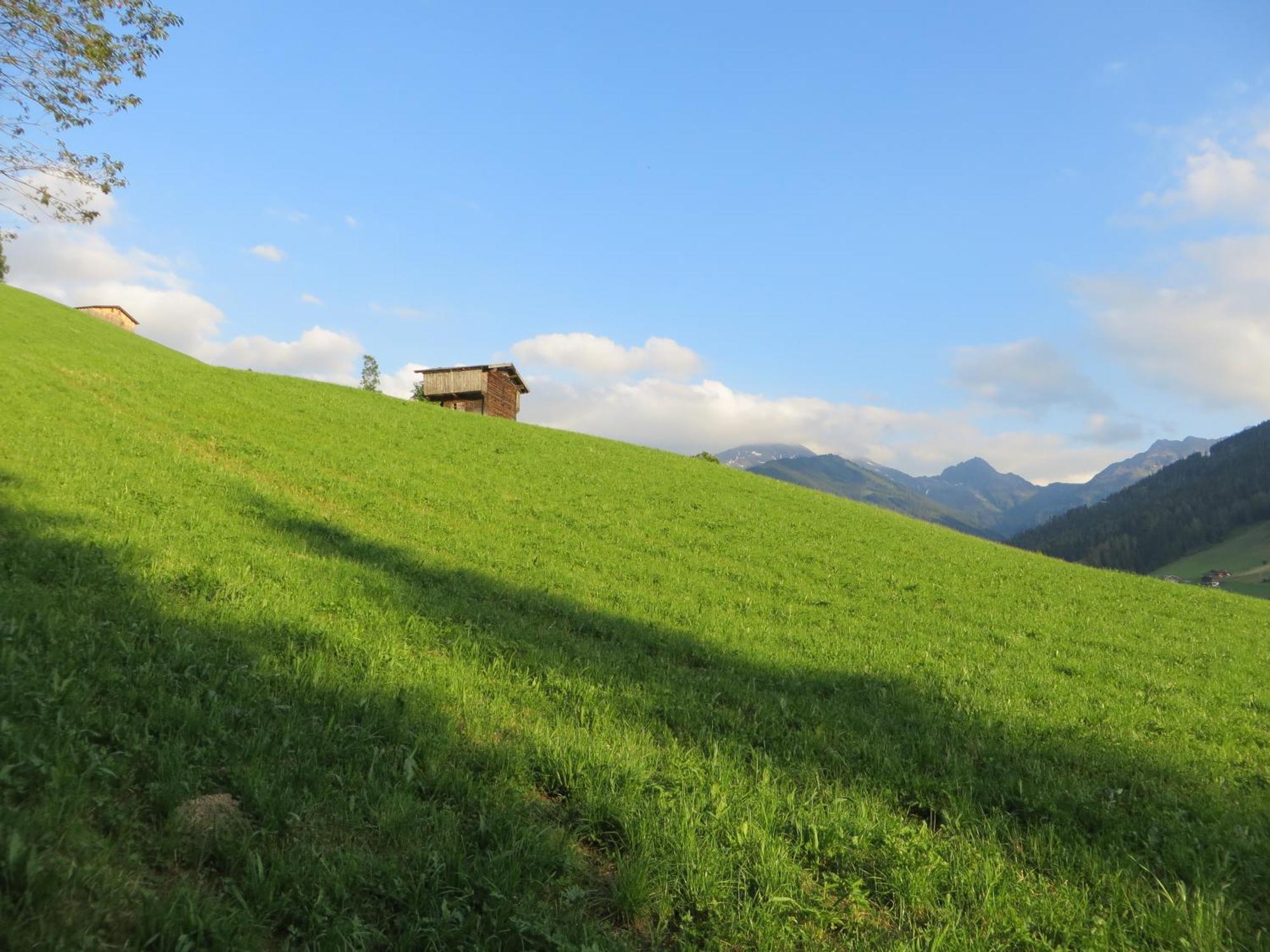 Pension Muehlbachhof Alpbach Extérieur photo
